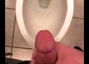 Slo-mo cumshot in elevate d vomit restroom